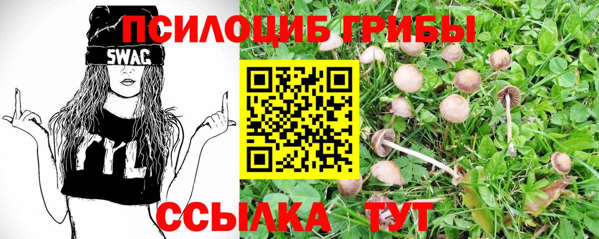 Иваново  Псилоцибиновые грибы MAGIC MUSHROOMS  Галлюциногенные грибы Psilocybine cubensis  Вход с VPN 